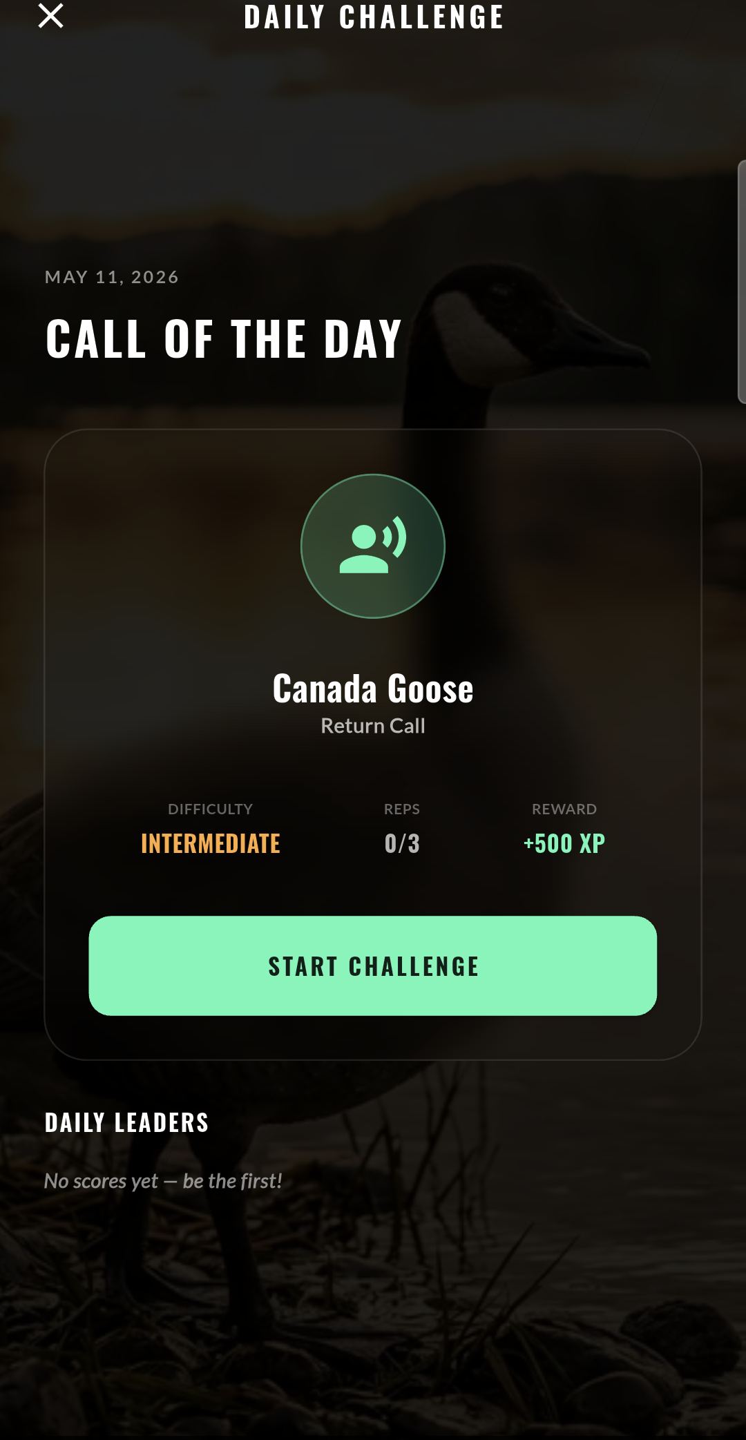 Daily Challenges